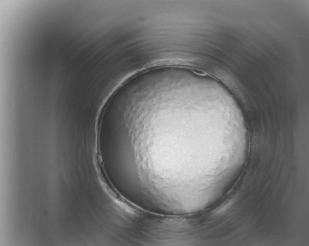 X0000072990844200607290012