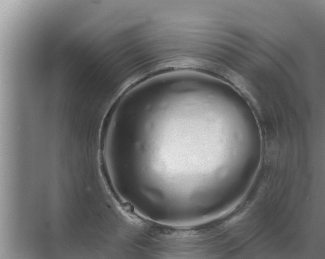 X0000072990845200607290012