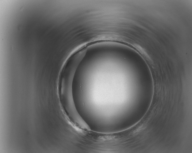 X0000072990846200607290012