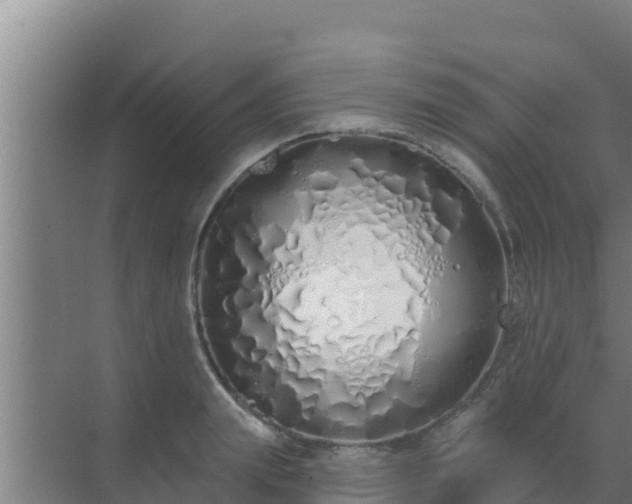 X0000072990847200607290012