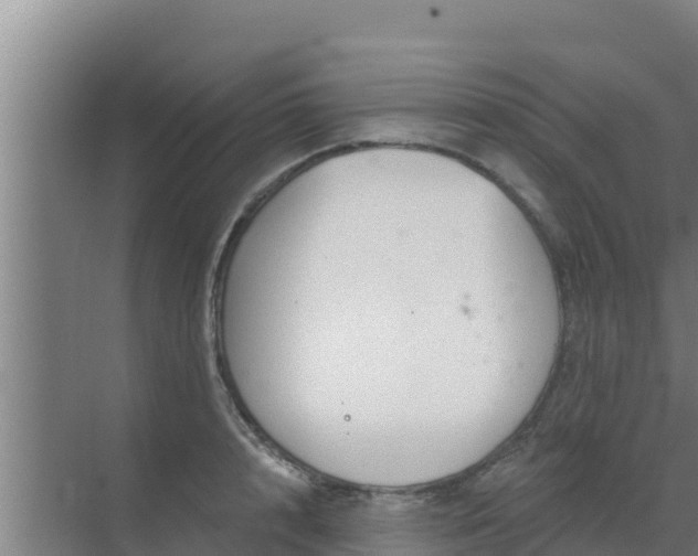 X0000072990848200607290012