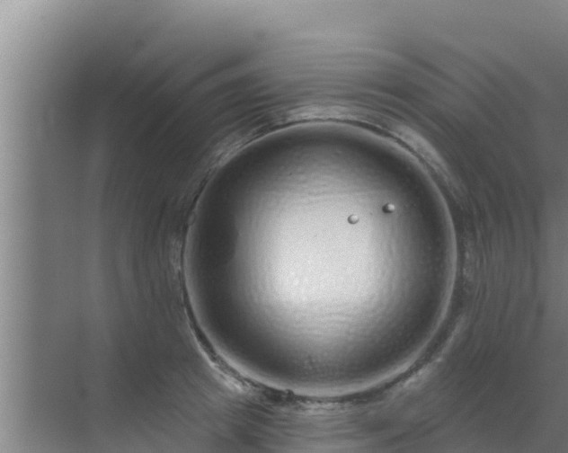 X0000072990849200607290012