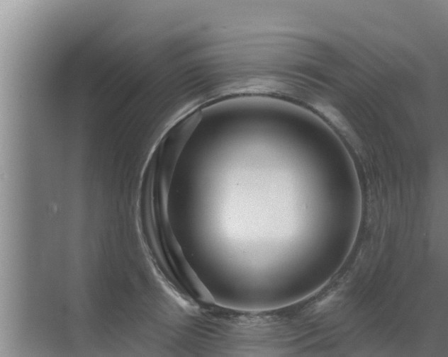 X0000072990850200607290012