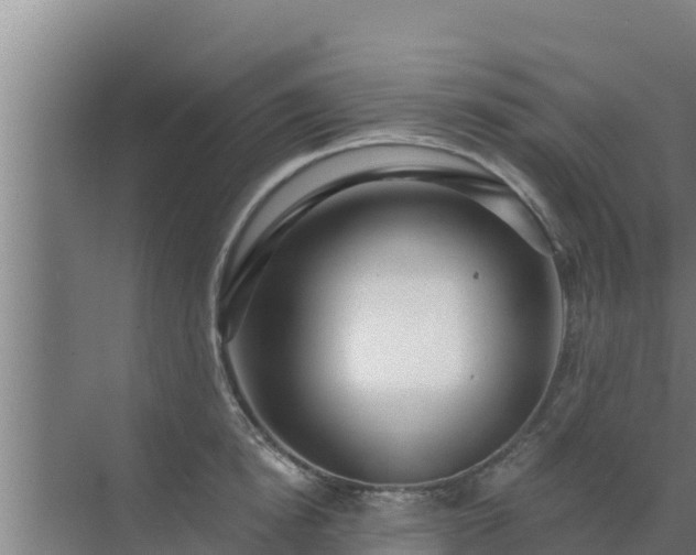 X0000072990854200607290012