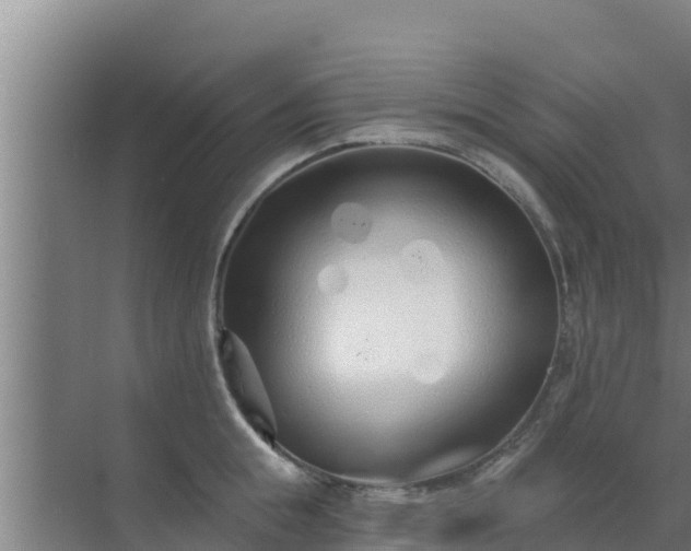 X0000072990855200607290012