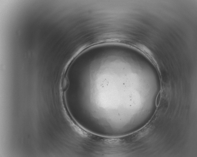 X0000072990859200607290012