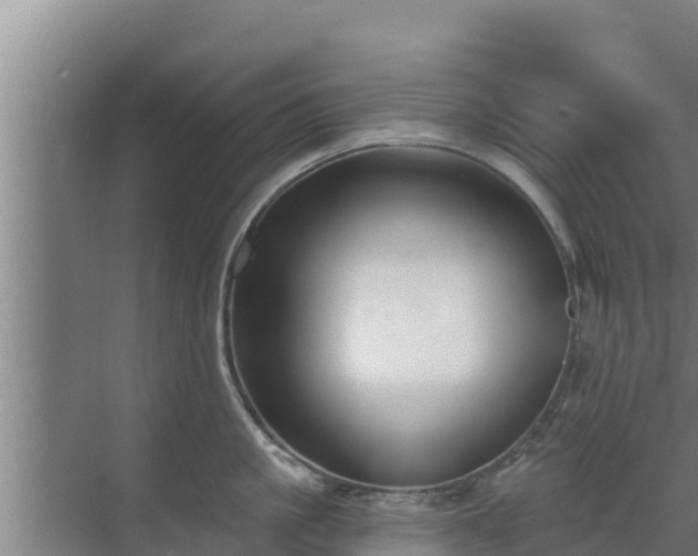 X0000072990861200607290012