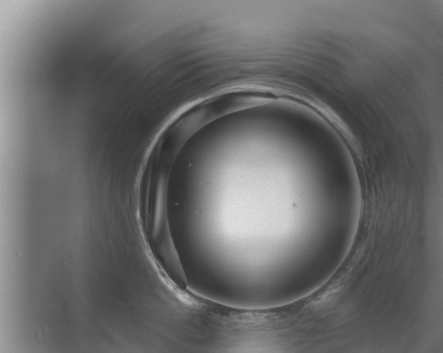 X0000072990862200607290012