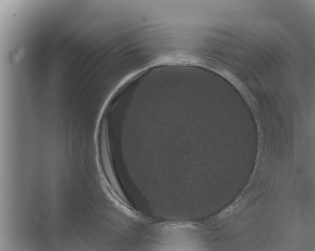 X0000072990864200607290012