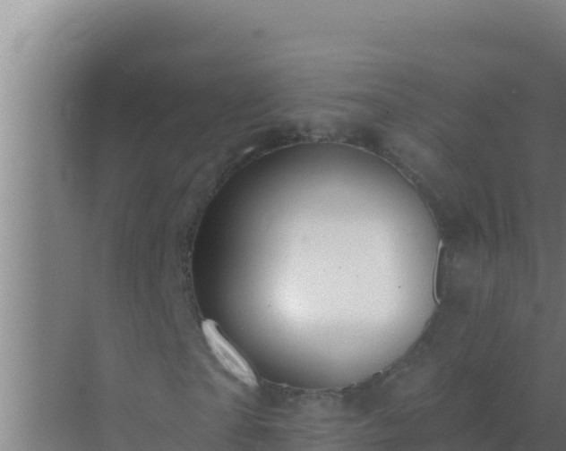 X0000072990865200607290011