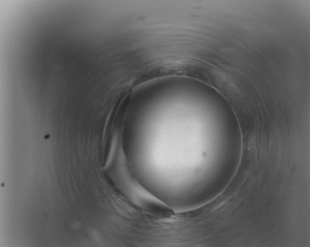 X0000072990868200607290011