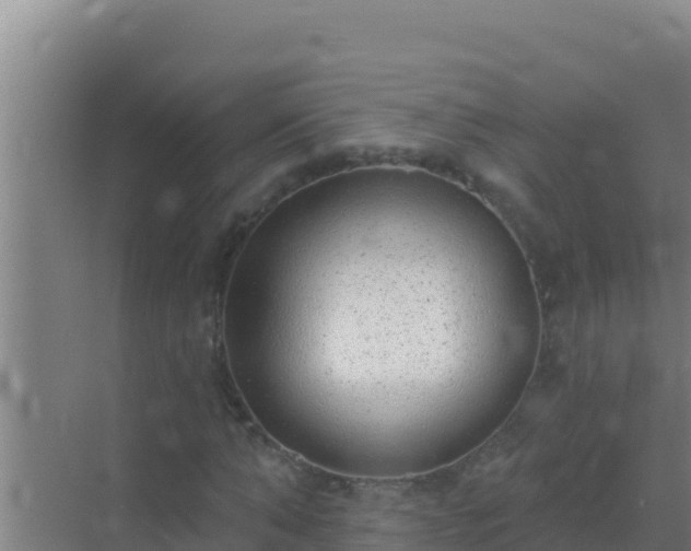 X0000072990870200607290011