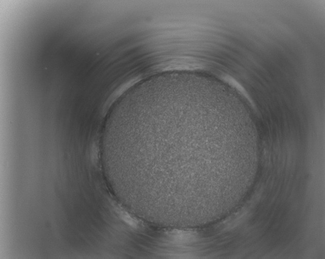 X0000072990874200607290011