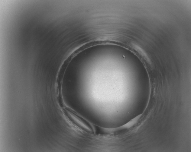 X0000072990876200607290011