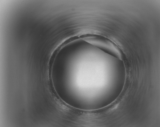 X0000072990877200607290011