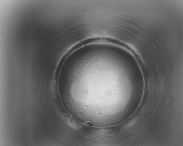 X0000072990879200607290011