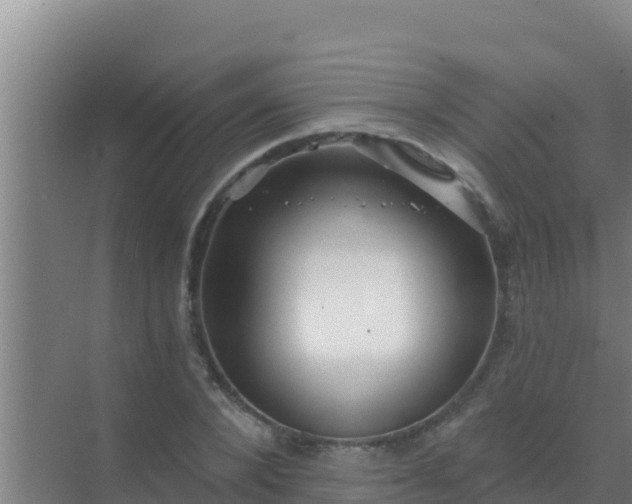 X0000072990880200607290011