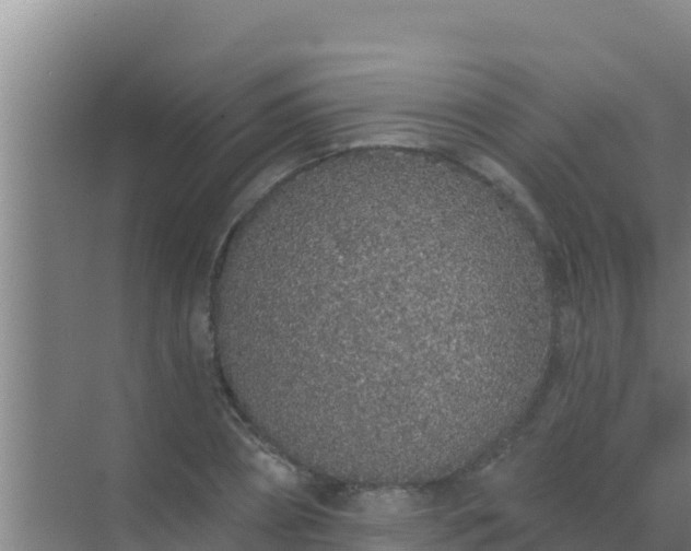 X0000072990882200607290011