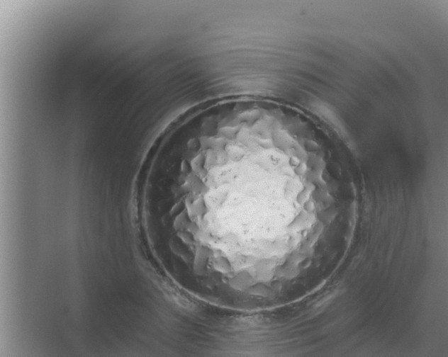 X0000072990883200607290011