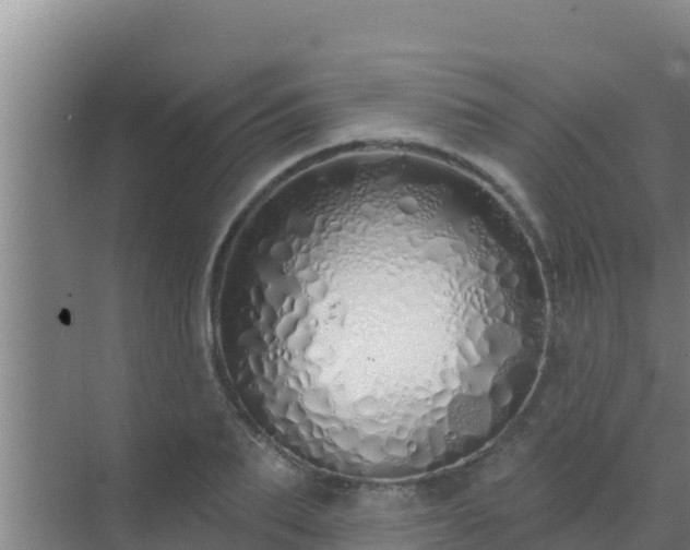 X0000072990887200607290011