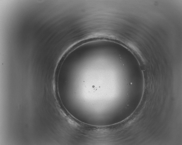 X0000072990888200607290011