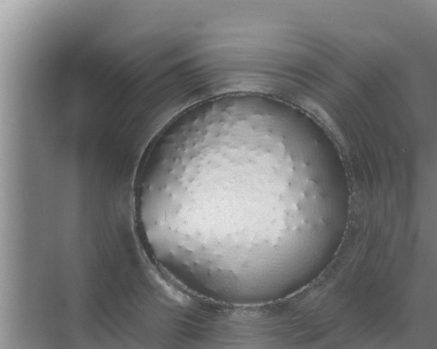 X0000072990890200607290011