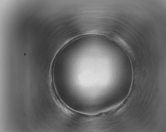 X0000072990892200607290011