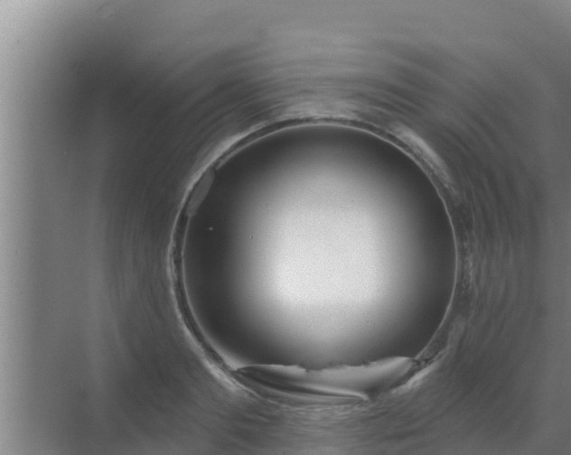 X0000072990893200607290011