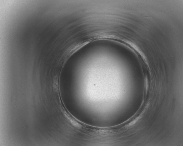 X0000072990897200607290011