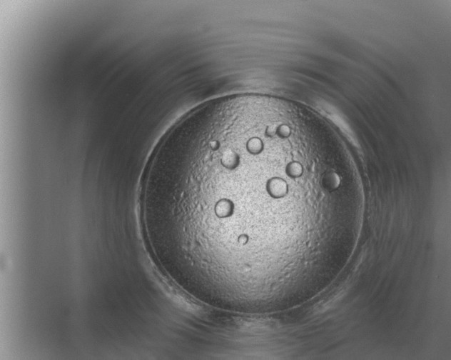 X0000072990899200607290010