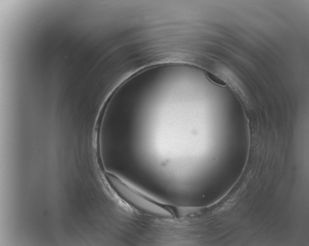 X0000072990900200607290010