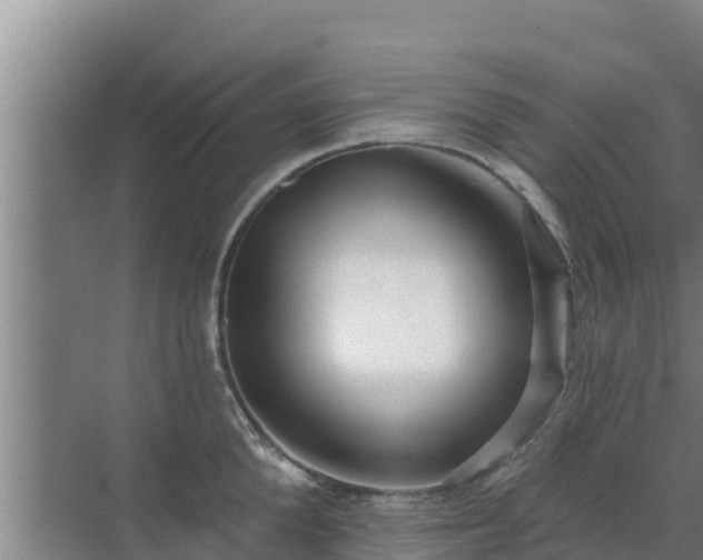 X0000072990904200607290010