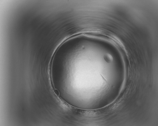 X0000072990907200607290010