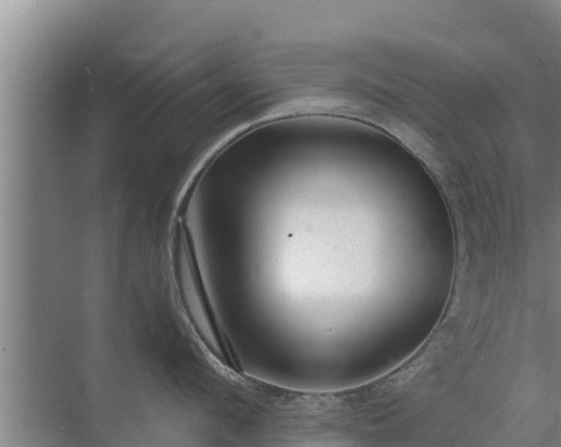 X0000072990912200607290010