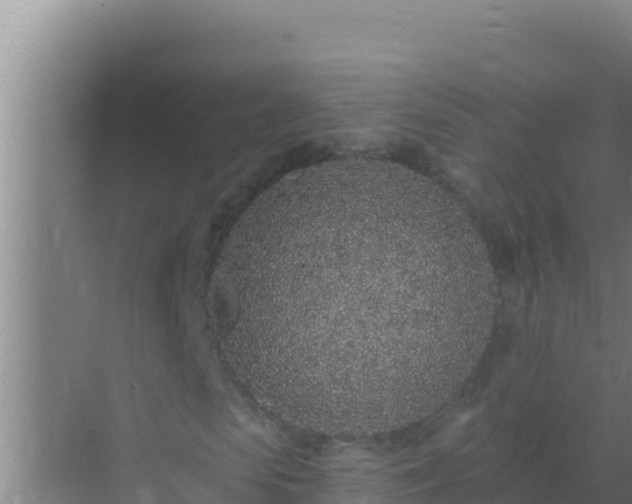 X0000072990913200607290009