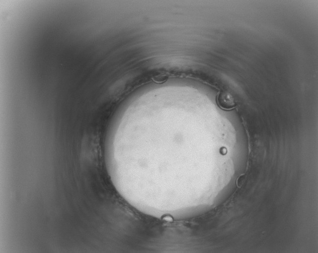 X0000072990918200607290010