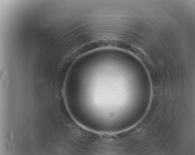 X0000072990919200607290010