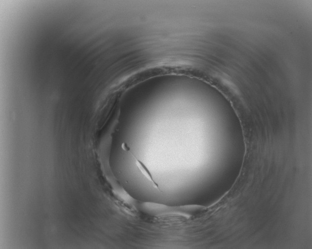 X0000072990920200607290010