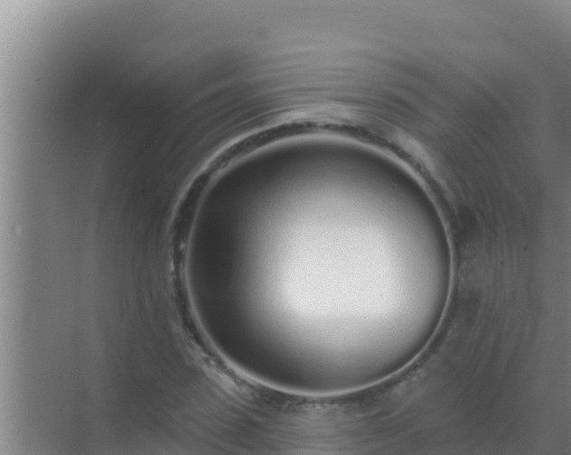 X0000072990923200607290010