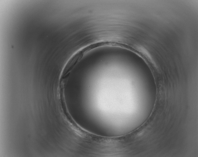 X0000072990924200607290010