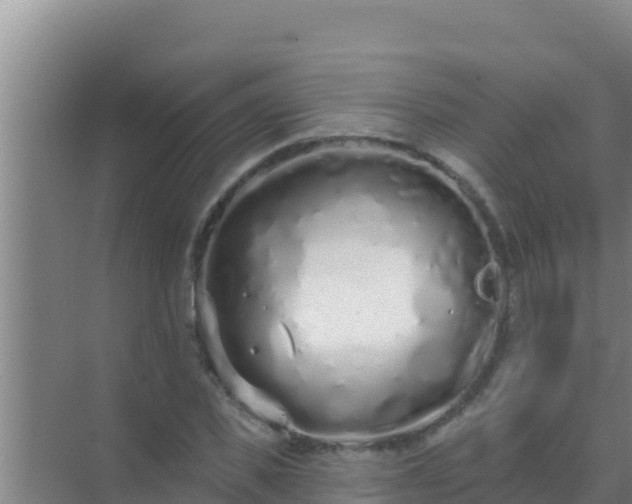 X0000072990925200607290010