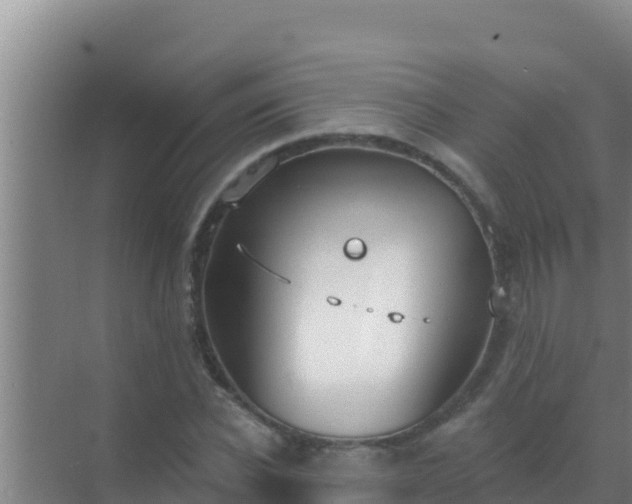 X0000072990926200607290010