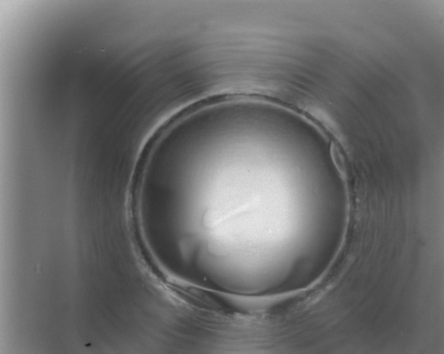 X0000072990928200607290010