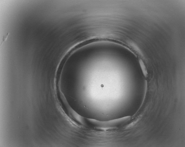 X0000072990932200607290010