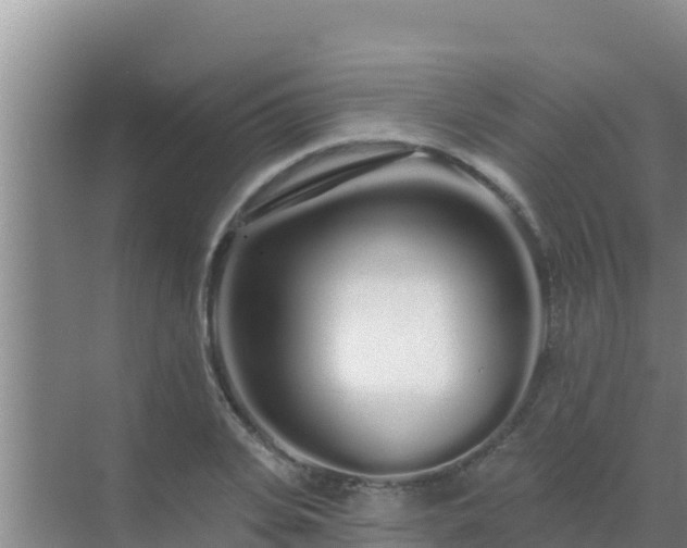 X0000072990935200607290010