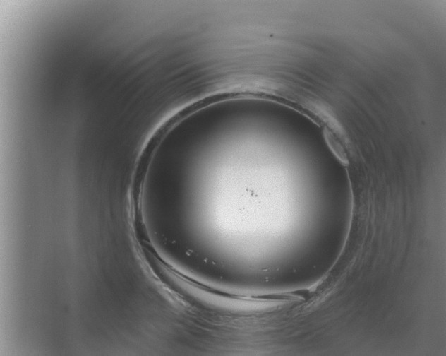 X0000072990936200607290010