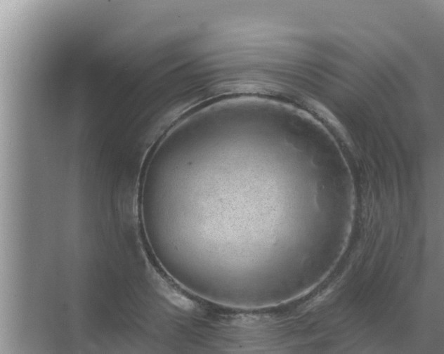 X0000072990938200607290010