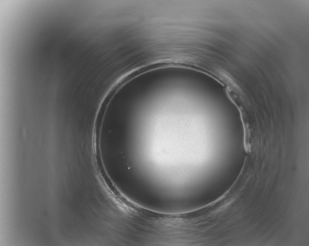 X0000072990940200607290010