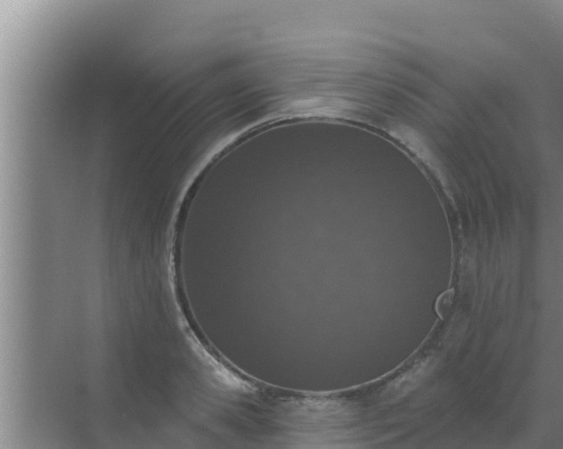 X0000072990941200607290010