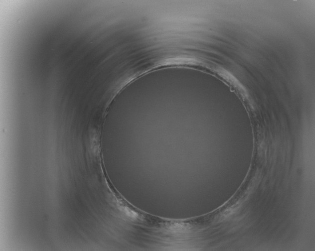 X0000072990945200607290010